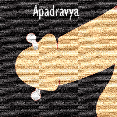 Apadravya