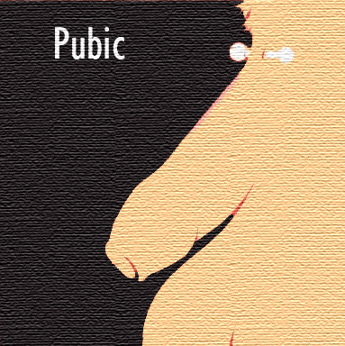 Pubic